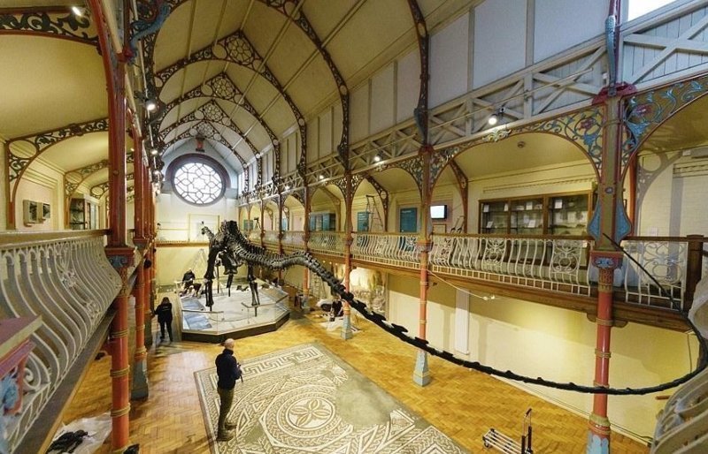 Диплодок Диппи из лондонского музея отправляется в путешествие