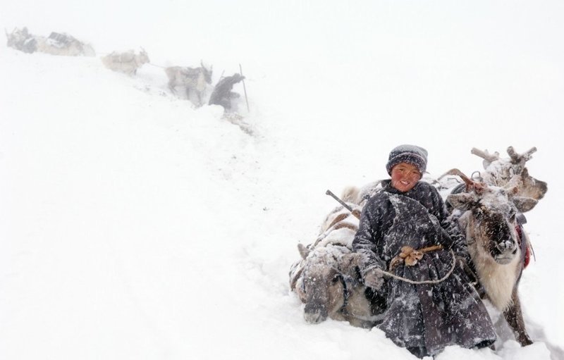 Последние кочевые оленеводы Монголии