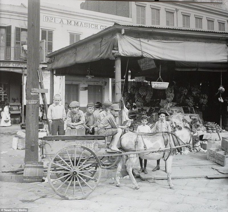 Дети продают фрукты и молоко на Французском рынке, 1910 год