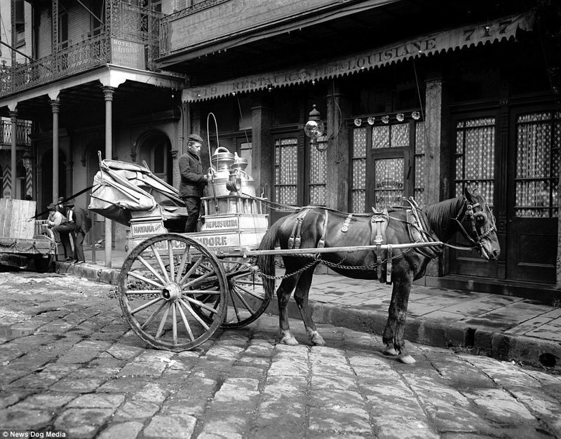 Молочник на улицах Нового Орлеана, фото 1903 года