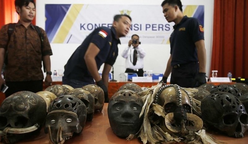 В Индонезии на таможне задержали необычную контрабанду