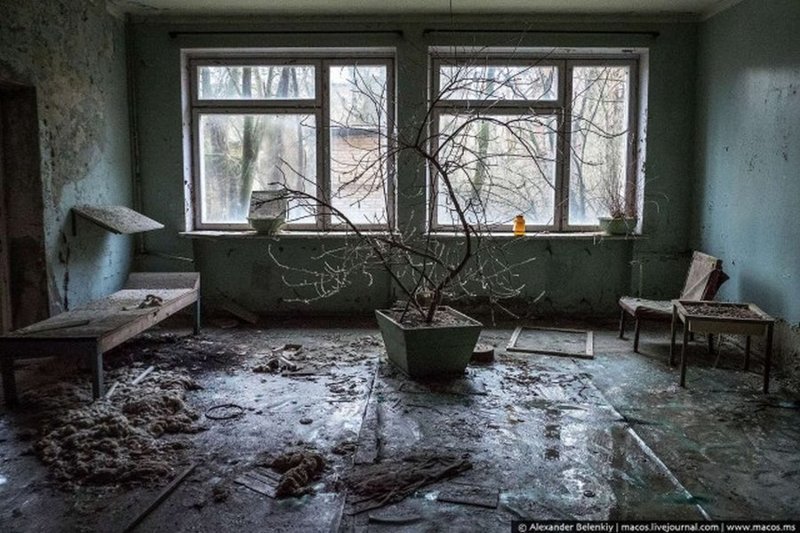  Мертвый город Припять. Джунгли Чернобыля