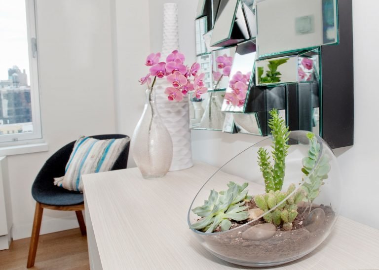 Создаем домашний уют. Лучшие комнатные растения для очистки воздуха!