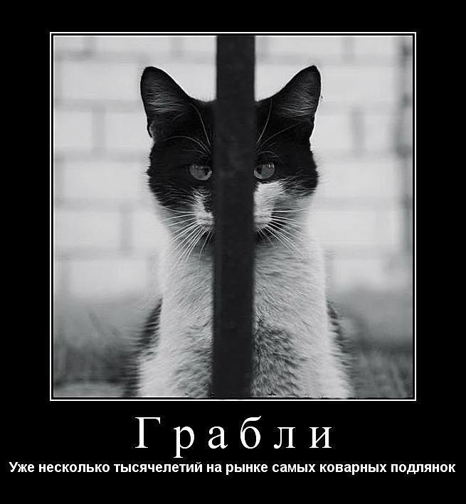 Субботние ФиШутки