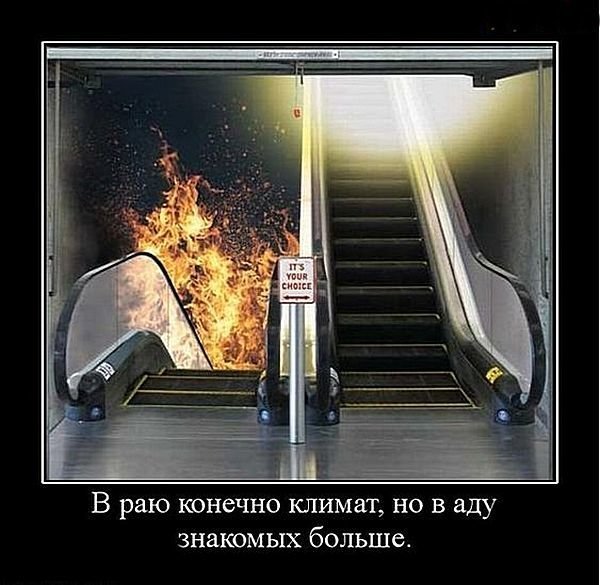 Субботние ФиШутки