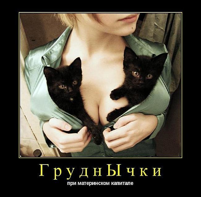 Субботние ФиШутки