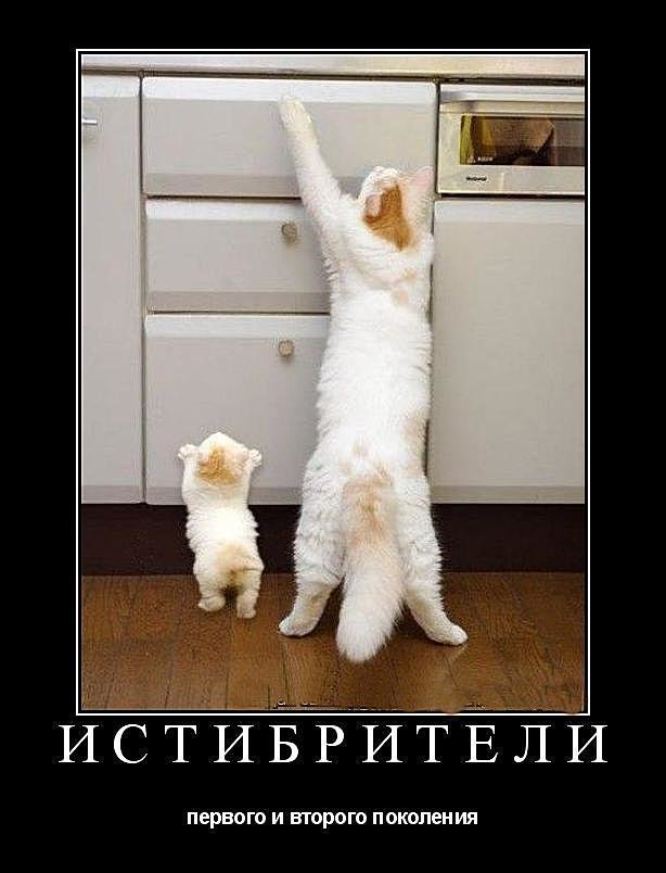 Субботние ФиШутки