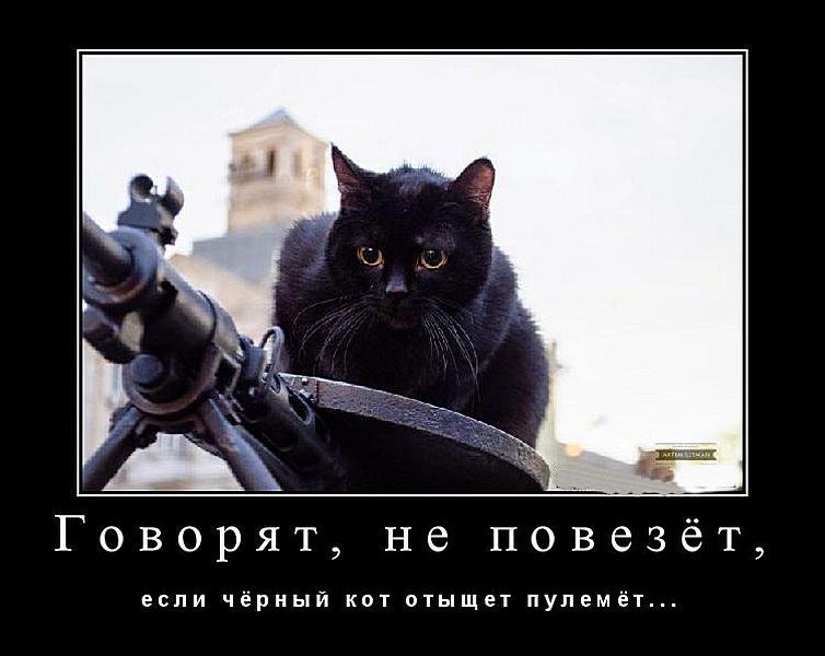 Субботние ФиШутки