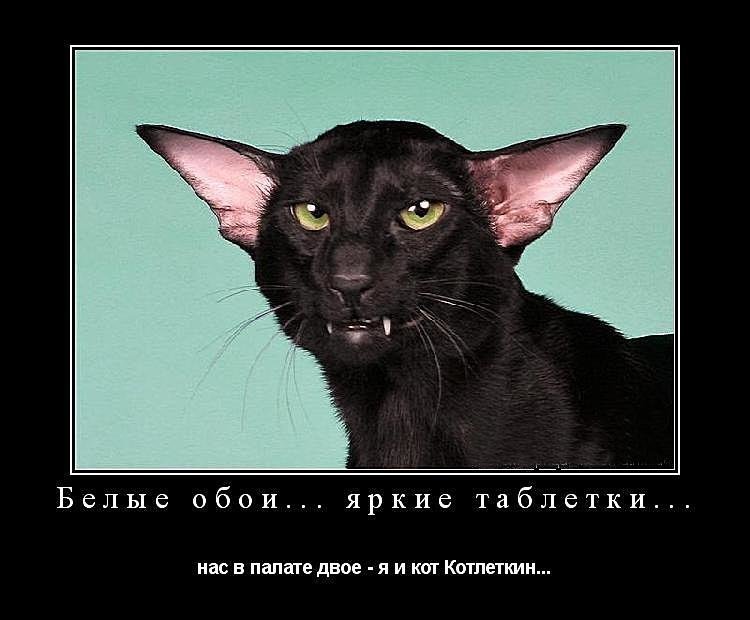 Субботние ФиШутки