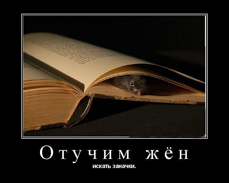 Субботние ФиШутки