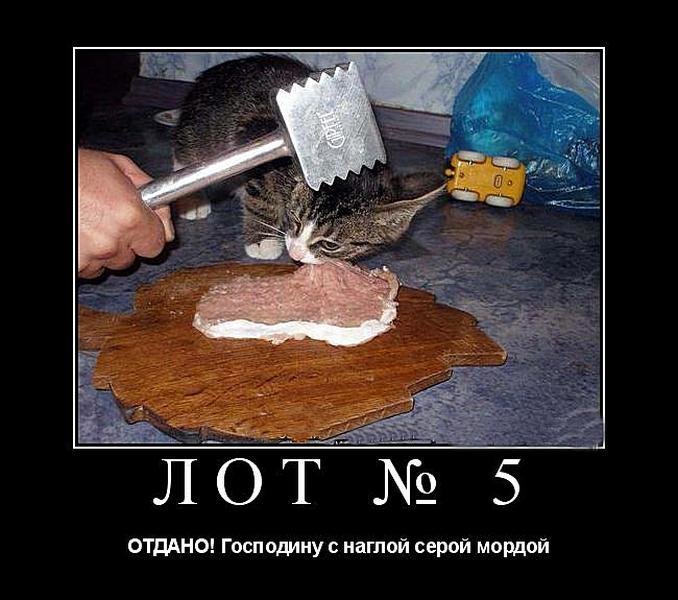 Субботние ФиШутки