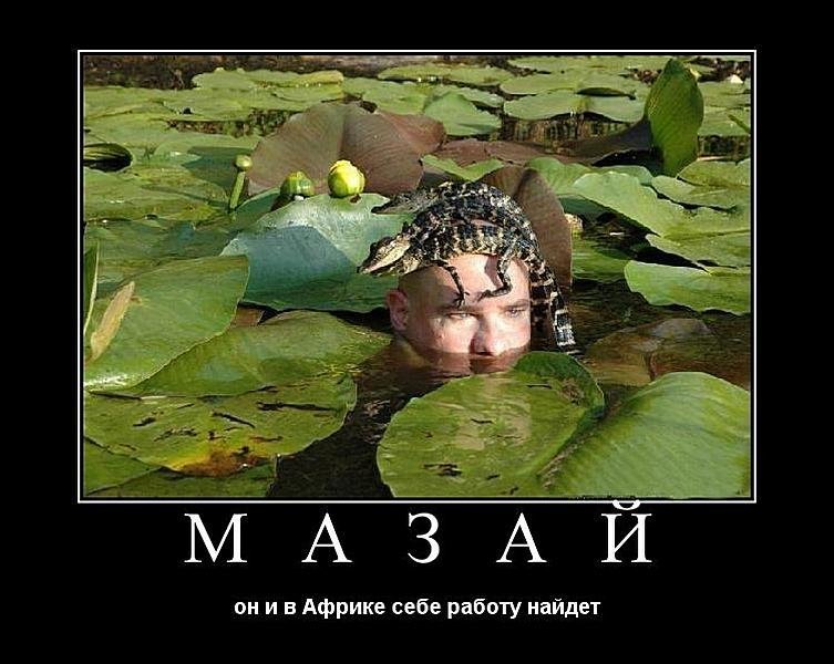 Субботние ФиШутки