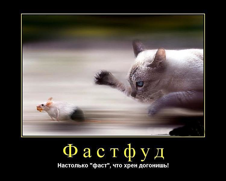 Субботние ФиШутки