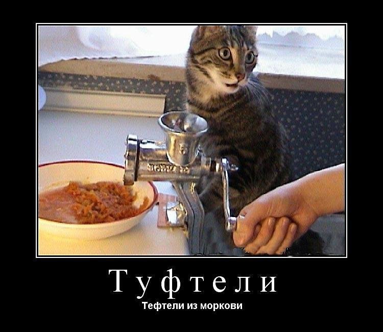 Субботние ФиШутки