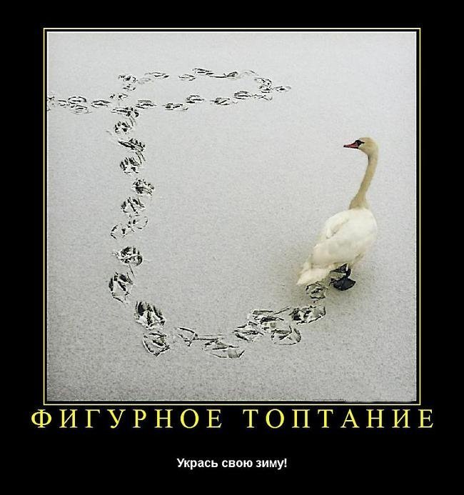 Субботние ФиШутки