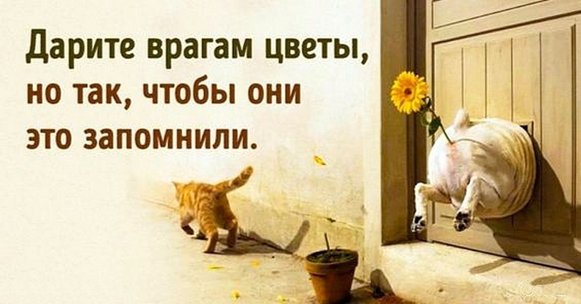 Субботние ФиШутки