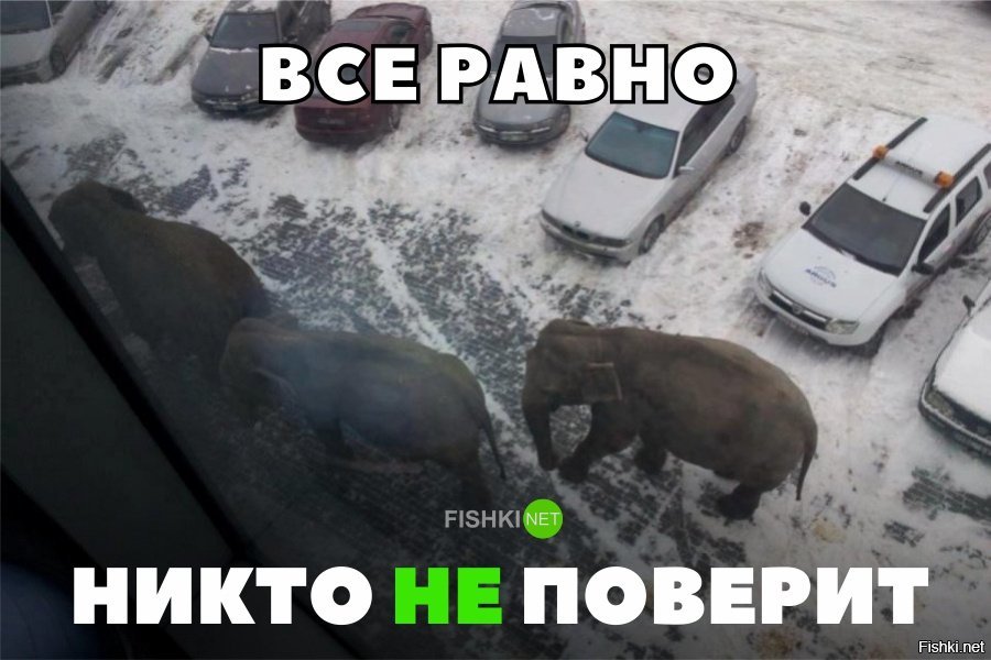 Все равно никто не слушает. Юхи Метсо «всё равно никто не поверит» вилле Хаапсало