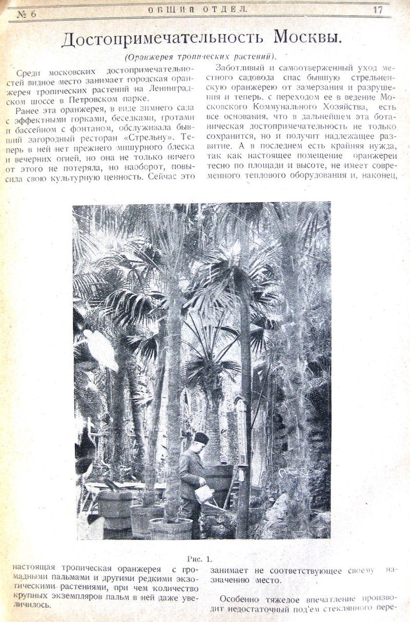 Оранжерея в Петровском парке. 1926