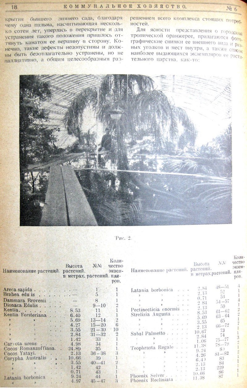 Оранжерея в Петровском парке. 1926