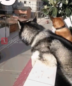 Что там на улице?