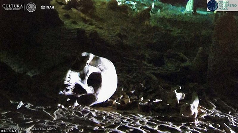 Ценные находки были сделаны в крупнейшей в Мексике системе подводных пещер Сак-Актун 