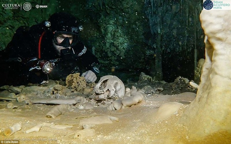 Останки древних людей, животных, кости ленивцев и древних слонов, реликвии и многое другое - находки, обнаруженные в пещере, потрясли археологический мир. 
