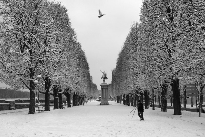 Парижская зима. Снега и воды