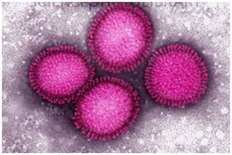 На фоне того, что в Испании грипп убил более 8 миллионов человек, болезнь была названа испанским гриппом
