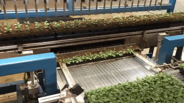 Такое приспособление да на дачу бы