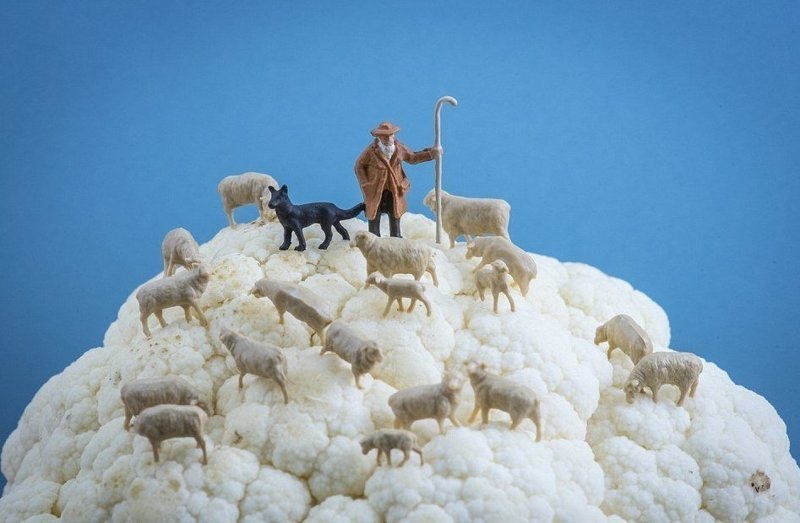 Овчар с отарой в капустных облаках