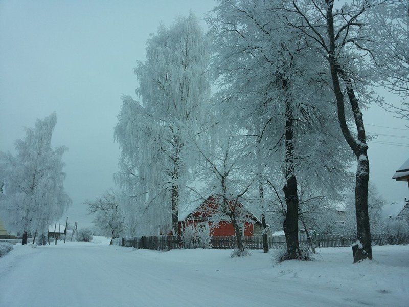 Красивое село из Латвии