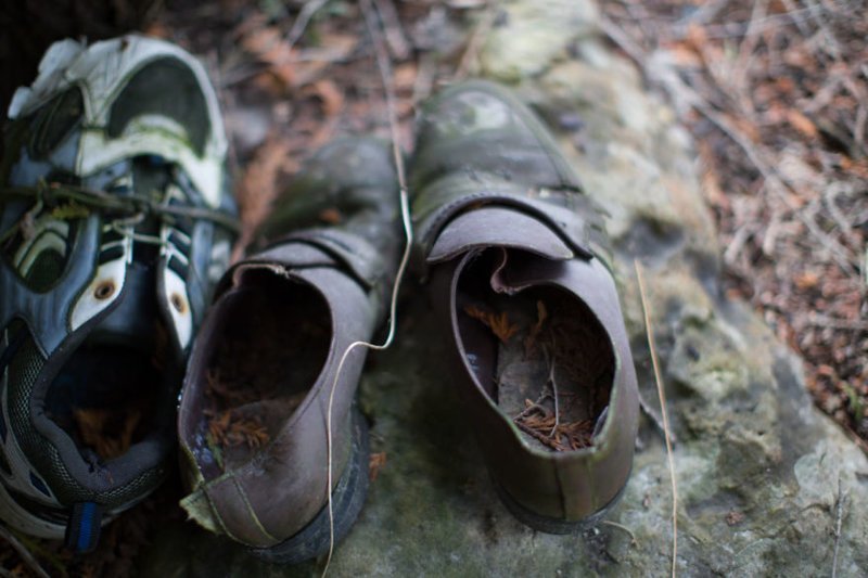 Фотограф случайно нашла в лесу гирлянды из кроссовок