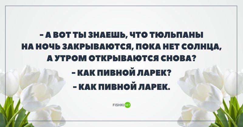 Закрывай пока. Тюльпаны закрываются на ночь или нет. Ты знаешь что тюльпаны на ночь. Тюльпаны ночью закрываются а днем открывается как пивной ларёк. Кот из мема «тюльпаны закрываются на ночь как пивные ларьки.