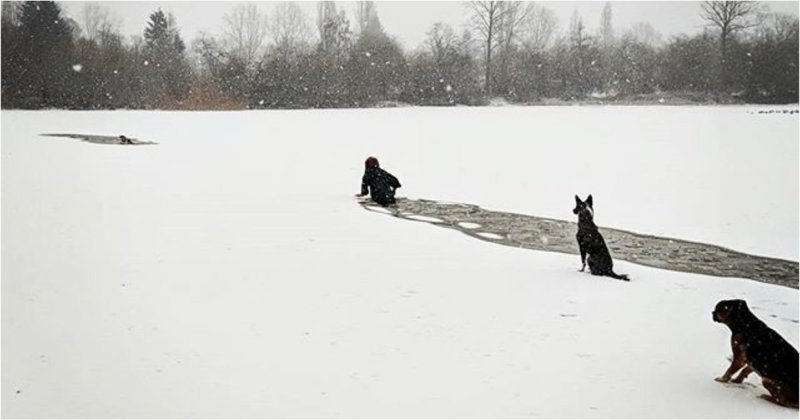 Храбрая женщина спасла провалившуюся под лед собаку