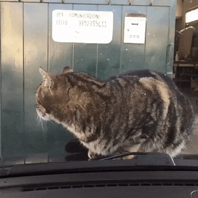 Пора валить