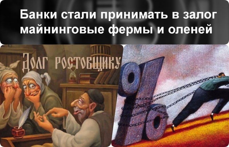 Под что, оказывается, только не берут залог банки! Кредит под майнинговую ферму, оленей и сыр