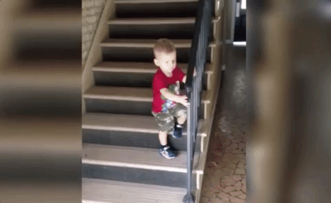 Следи за каждым шагом