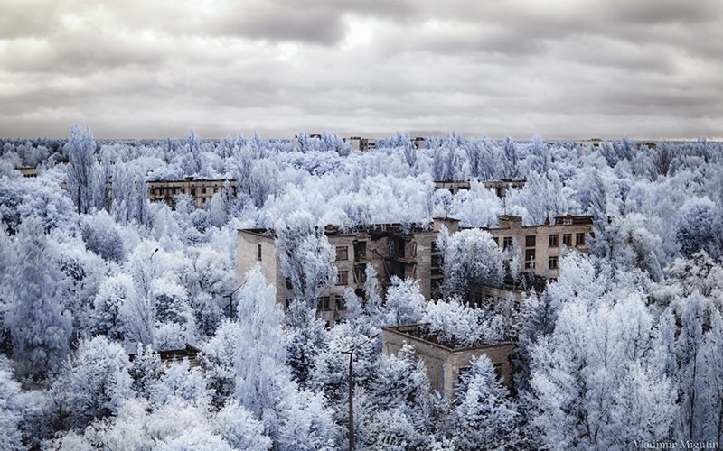 Инфракрасный Чернобыль: зона отчуждения в непривычных цветах