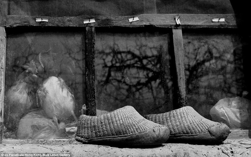 Эти туфли принадлежали Су Кси Ронг, которая родилась в 1933 году. Когда девочке исполнилось 7 лет, ей забинтовали ноги (это, на минуточку, уже 1940-й год!)