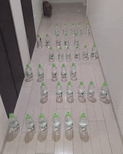 Почти получилось