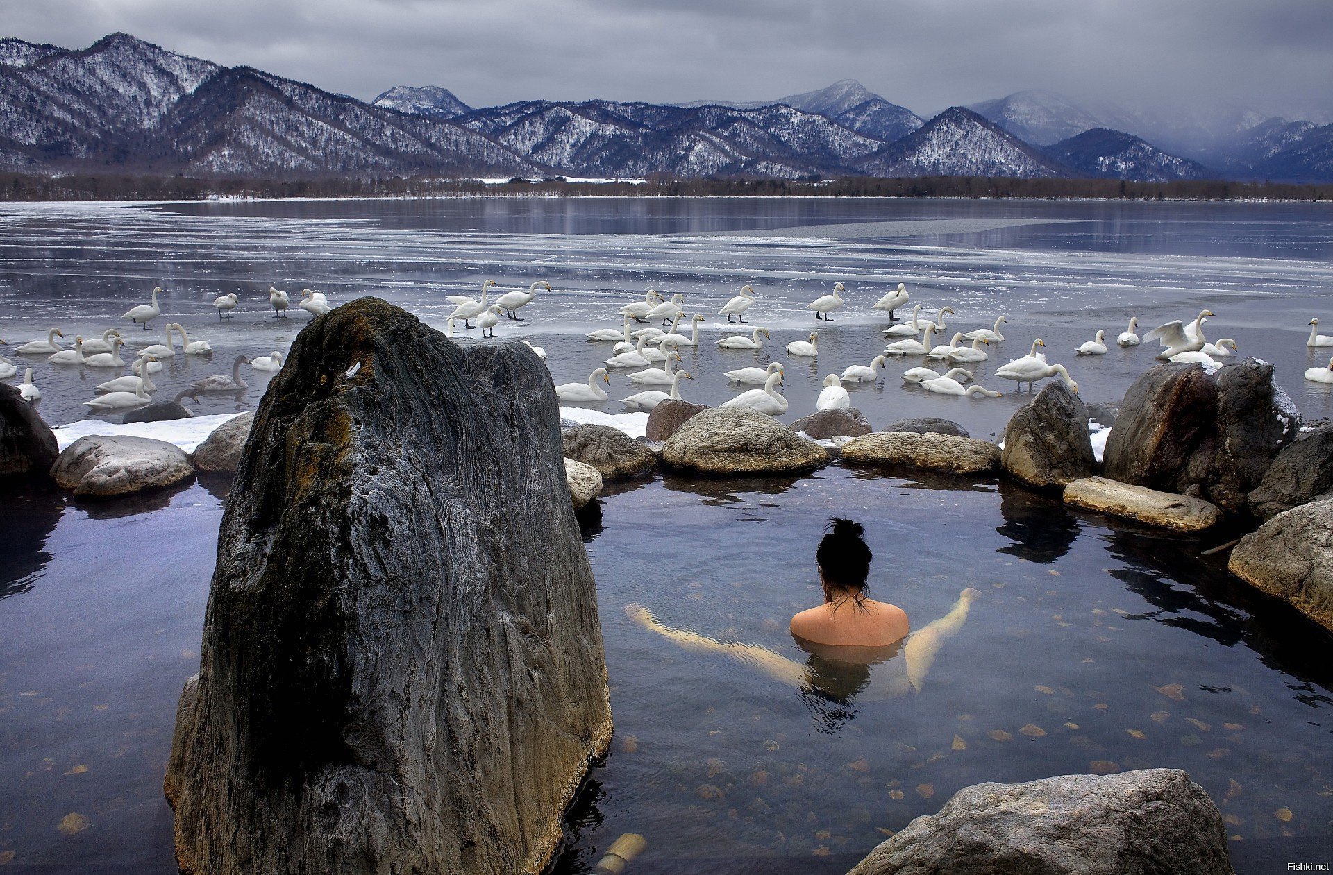 Japanese Hot Spring