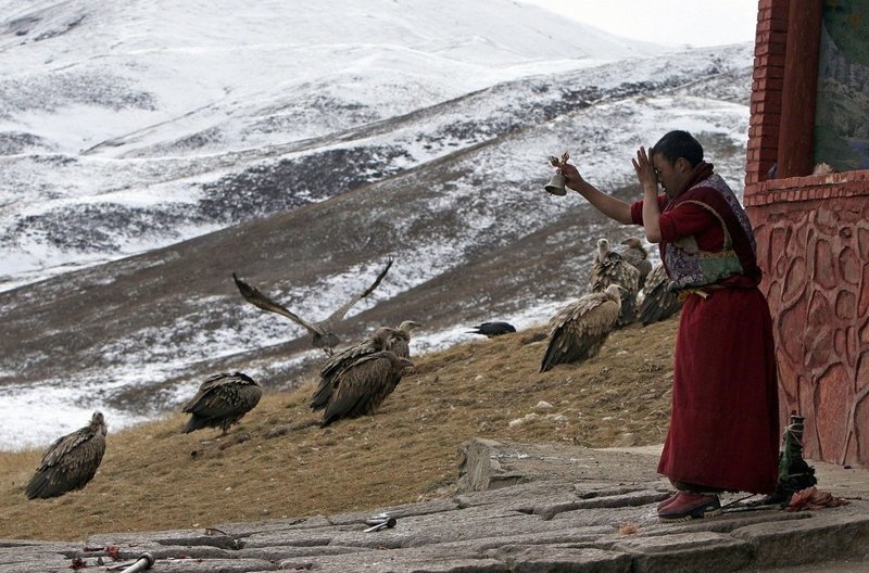 Тибетцы верят, что каждый хоть раз в жизни должен увидеть обряд небесного погребения, чтобы осознать мимолетность и эфемерность жизни