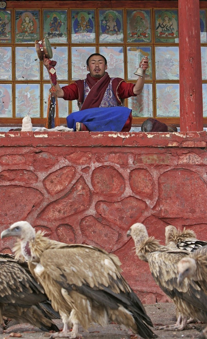 Однако в 1974 году после многочисленных просьб монахов и тибетцев китайское правительство позволило возобновить "Небесные похороны"