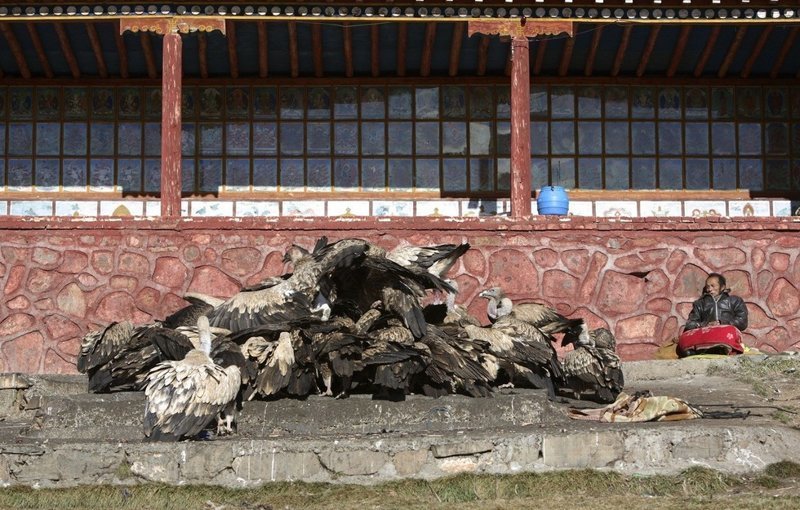 Когда тибетец умирает, его тело устанавливают в сидячее положение на 24 часа, пока лама читает молитвы из тибетской Книги мёртвых