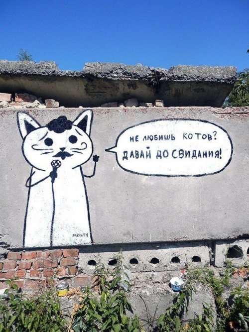 Субботний котопост