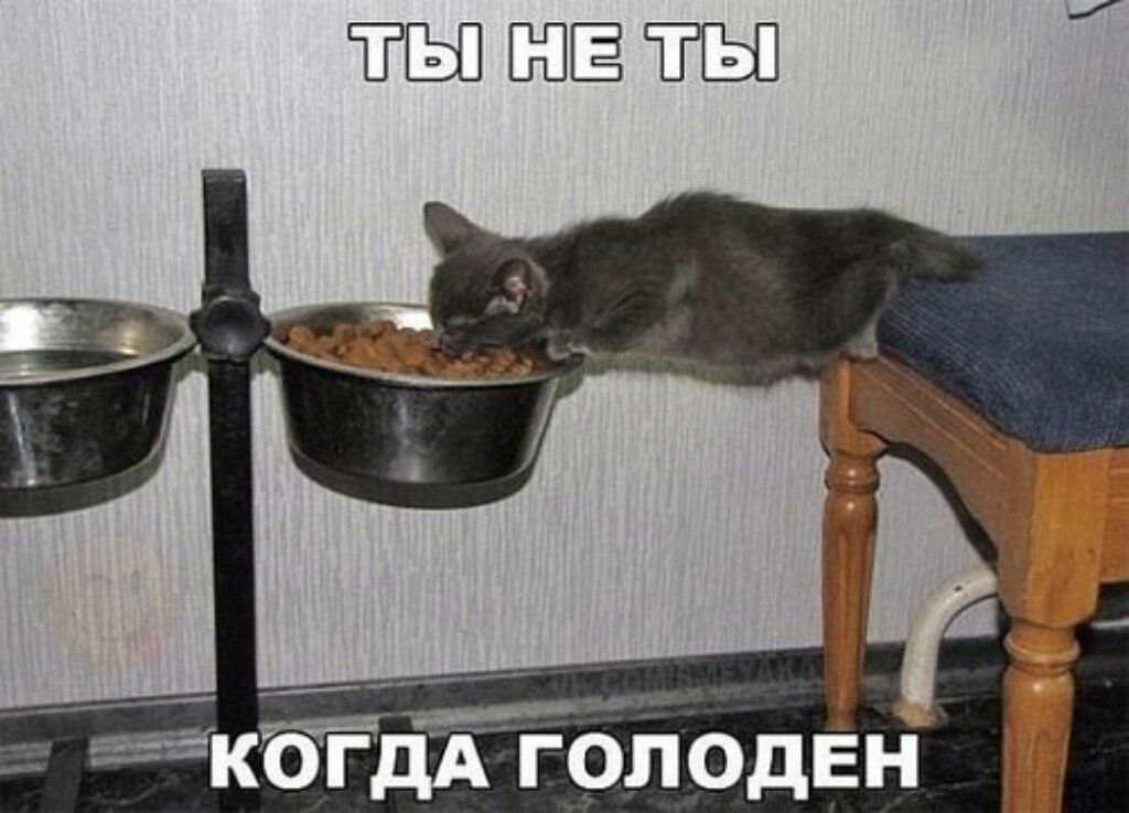 Когда Веселье Закончилось А Кушать Хочется
