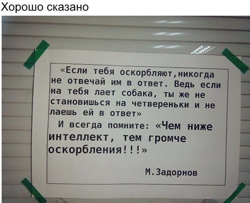 Смешные картинки с надписями