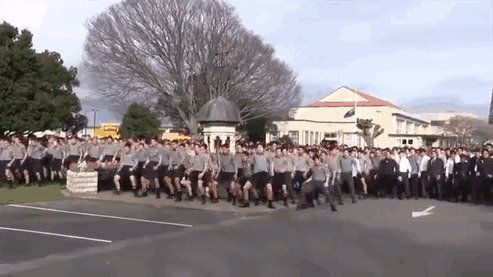 7. Новозеландские школьники исполняют ритуальный танец хака на похоронах учителя