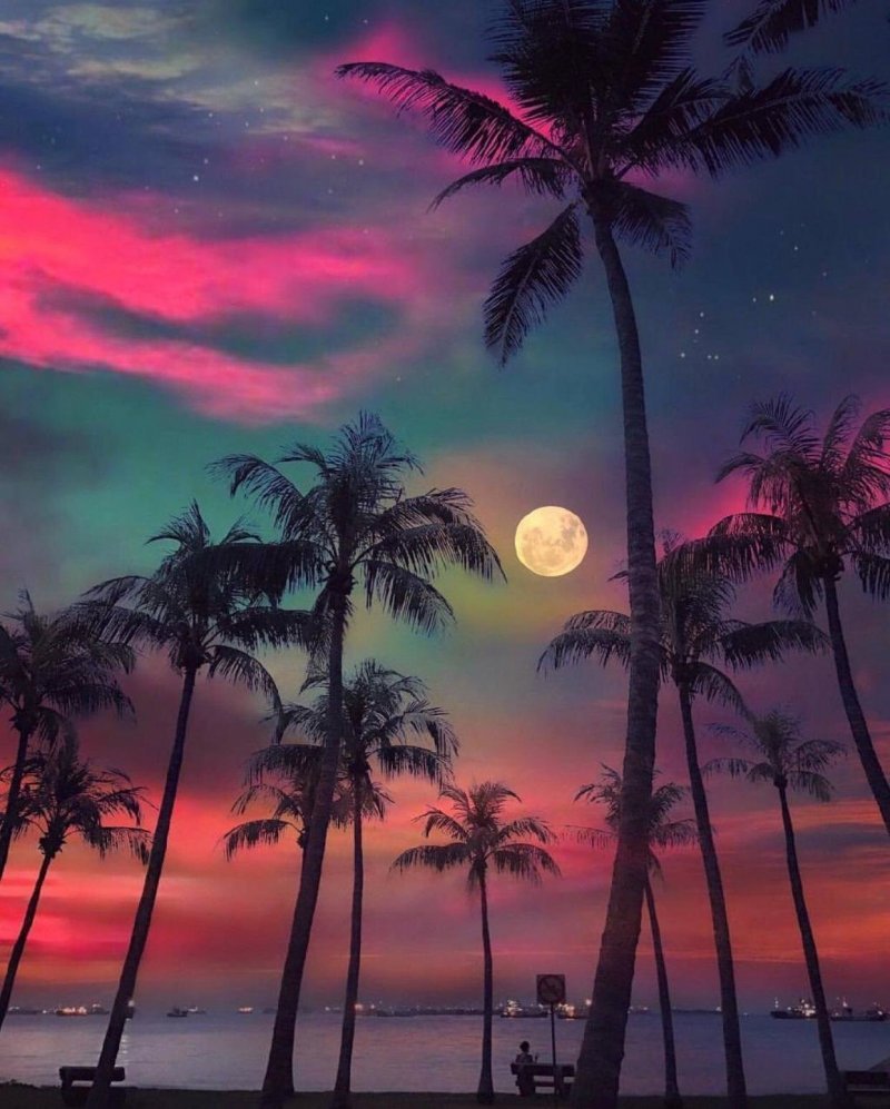 Тропическая ночь