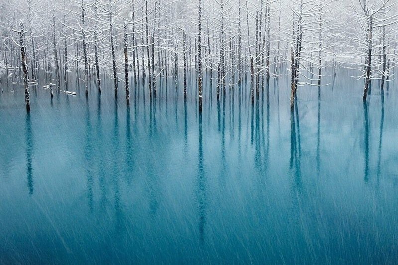 Голубой пруд и первый снег